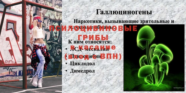 дживик Балабаново