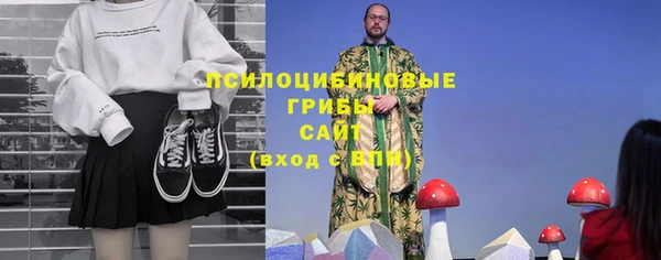 марки lsd Белокуриха