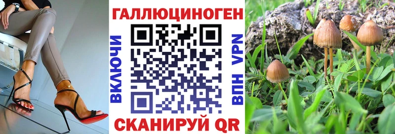 Галлюциногенные грибы мухоморы  где купить   Нижнеудинск 